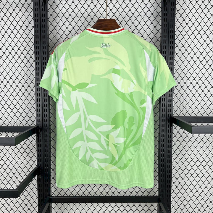 Italy Light Green Kit