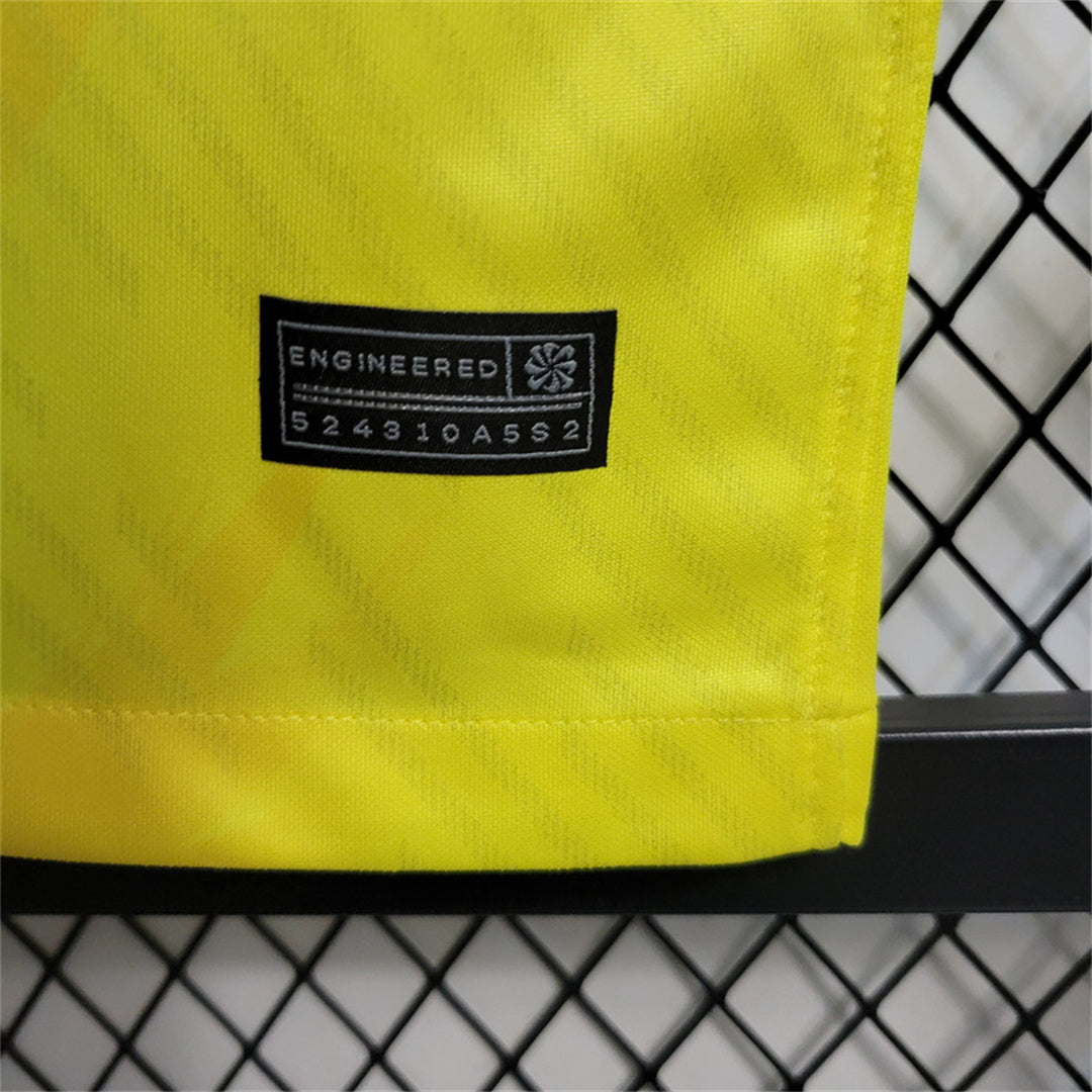 Brazil Yellow Pigeon Kit